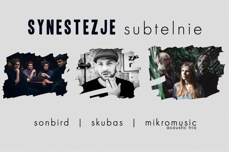 Klub Studio - Synestezje.subtelnie: Skubas i Mikromusic | Sonbird klubstudio - Synestezje.subtelnie: Skubas i Mikromusic | Sonbird